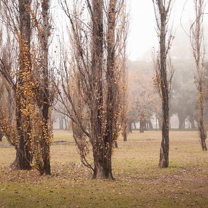 invierno en los lagos de palermo