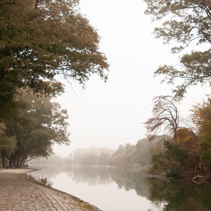 invierno en los lagos de Palermo