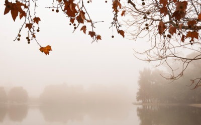 El encanto del invierno en los Lagos de Palermo